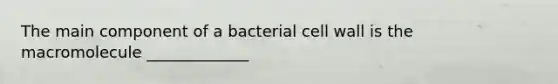 The main component of a bacterial cell wall is the macromolecule _____________