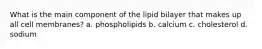 What is the main component of the lipid bilayer that makes up all cell membranes? a. phospholipids b. calcium c. cholesterol d. sodium