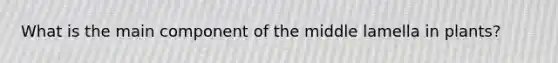 What is the main component of the middle lamella in plants?