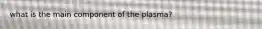 what is the main component of the plasma?