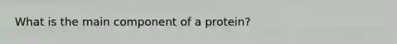 What is the main component of a protein?