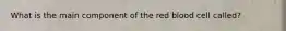 What is the main component of the red blood cell called?