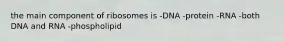 the main component of ribosomes is -DNA -protein -RNA -both DNA and RNA -phospholipid