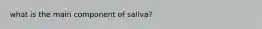 what is the main component of saliva?