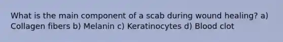 What is the main component of a scab during wound healing? a) Collagen fibers b) Melanin c) Keratinocytes d) Blood clot