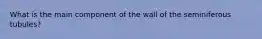 What is the main component of the wall of the seminiferous tubules?