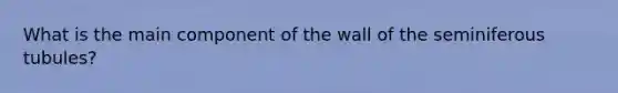 What is the main component of the wall of the seminiferous tubules?