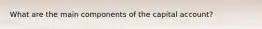 What are the main components of the capital account?