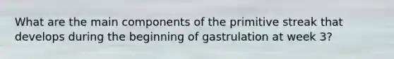 What are the main components of the primitive streak that develops during the beginning of gastrulation at week 3?