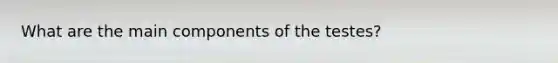 What are the main components of the testes?