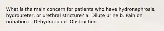 What is the main concern for patients who have hydronephrosis, hydroureter, or urethral stricture? a. Dilute urine b. Pain on urination c. Dehydration d. Obstruction