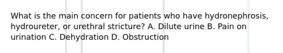 What is the main concern for patients who have hydronephrosis, hydroureter, or urethral stricture? A. Dilute urine B. Pain on urination C. Dehydration D. Obstruction