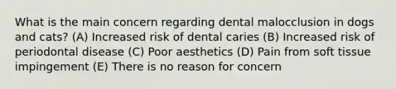 What is the main concern regarding dental malocclusion in dogs and cats? (A) Increased risk of dental caries (B) Increased risk of periodontal disease (C) Poor aesthetics (D) Pain from soft tissue impingement (E) There is no reason for concern