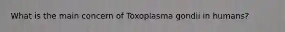 What is the main concern of Toxoplasma gondii in humans?