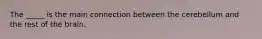 The _____ is the main connection between the cerebellum and the rest of the brain.