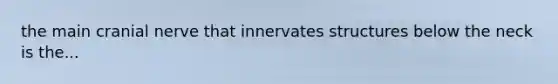 the main cranial nerve that innervates structures below the neck is the...