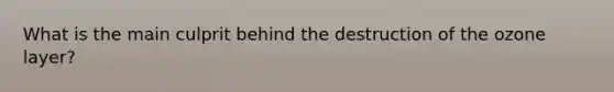 What is the main culprit behind the destruction of the ozone layer?