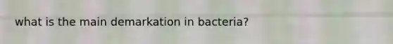 what is the main demarkation in bacteria?