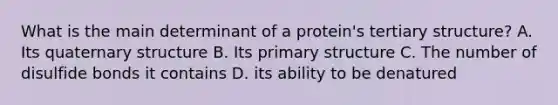 What is the main determinant of a protein's tertiary structure? A. Its quaternary structure B. Its primary structure C. The number of disulfide bonds it contains D. its ability to be denatured