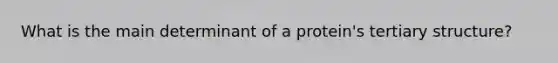 What is the main determinant of a protein's tertiary structure?