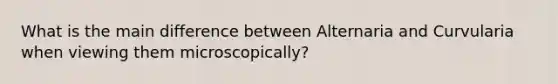 What is the main difference between Alternaria and Curvularia when viewing them microscopically?