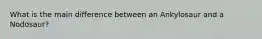 What is the main difference between an Ankylosaur and a Nodosaur?