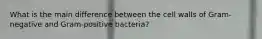 What is the main difference between the cell walls of Gram-negative and Gram-positive bacteria?