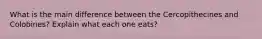 What is the main difference between the Cercopithecines and Colobines? Explain what each one eats?