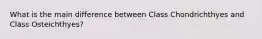 What is the main difference between Class Chondrichthyes and Class Osteichthyes?
