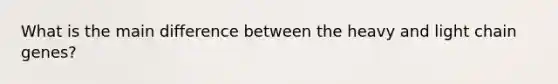 What is the main difference between the heavy and light chain genes?