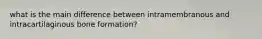 what is the main difference between intramembranous and intracartilaginous bone formation?