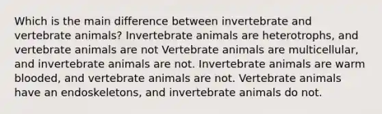 Which is the main difference between invertebrate and vertebrate animals? Invertebrate animals are heterotrophs, and vertebrate animals are not Vertebrate animals are multicellular, and invertebrate animals are not. Invertebrate animals are warm blooded, and vertebrate animals are not. Vertebrate animals have an endoskeletons, and invertebrate animals do not.