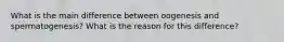 What is the main difference between oogenesis and spermatogenesis? What is the reason for this difference?