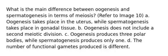 What is the main difference between oogenesis and spermatogenesis in terms of meiosis? (Refer to Image 10) a. Oogenesis takes place in the uterus, while spermatogenesis takes place in gonadal tissue. b. Oogenesis does not include a second meiotic division. c. Oogenesis produces three polar bodies, while spermatogenesis produces only one. d. The number of functional gametes produced is different.