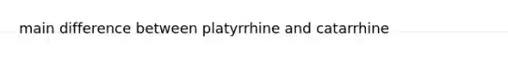 main difference between platyrrhine and catarrhine