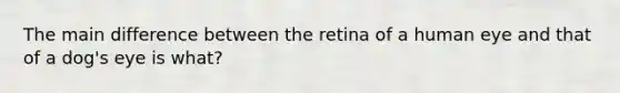 The main difference between the retina of a human eye and that of a dog's eye is what?