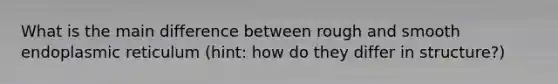 What is the main difference between rough and smooth endoplasmic reticulum (hint: how do they differ in structure?)