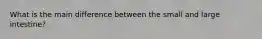 What is the main difference between the small and large intestine?