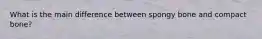 What is the main difference between spongy bone and compact bone?
