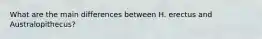 What are the main differences between H. erectus and Australopithecus?