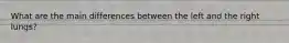 What are the main differences between the left and the right lungs?