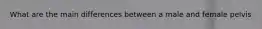 What are the main differences between a male and female pelvis