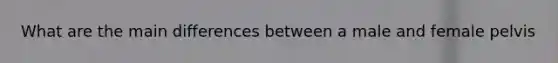 What are the main differences between a male and female pelvis