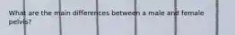 What are the main differences between a male and female pelvis?