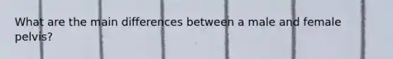 What are the main differences between a male and female pelvis?