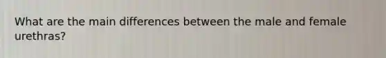 What are the main differences between the male and female urethras?