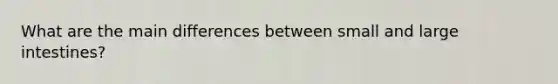 What are the main differences between small and large intestines?