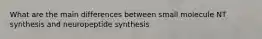 What are the main differences between small molecule NT synthesis and neuropeptide synthesis