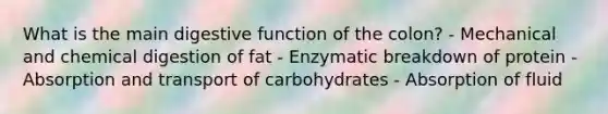 What is the main digestive function of the colon? - Mechanical and chemical digestion of fat - Enzymatic breakdown of protein - Absorption and transport of carbohydrates - Absorption of fluid