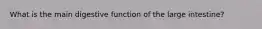 What is the main digestive function of the large intestine?